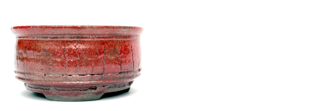 mazas shohin bonsai tal isabelia muhelyebol marczika bonsai studio erd